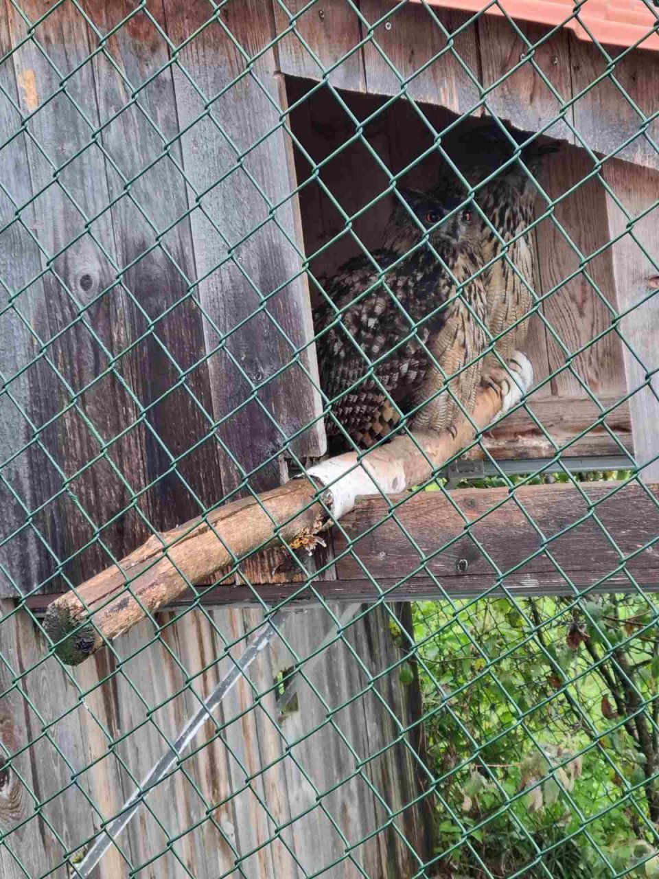 Oktober - Regionalwandertag Abtsgmünd